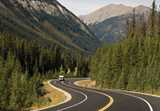 Asphalt road additives