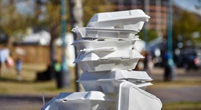 Cellulose based sustainable replacement for traditional expanded polystyrene (EPS) products